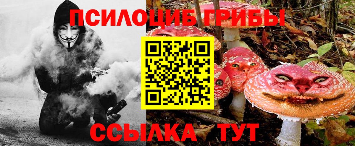 Галлюциногенные грибы прущие грибы  Вход с VPN  Асбест 