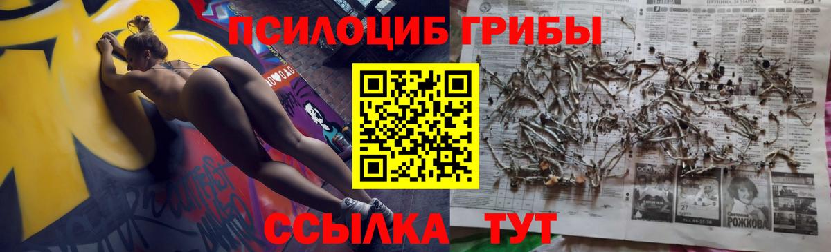 Псилоцибиновые грибы мухоморы Асбест